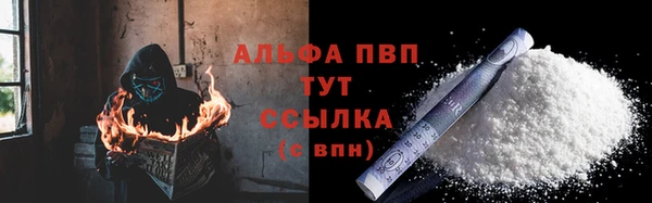 стаф Алексин