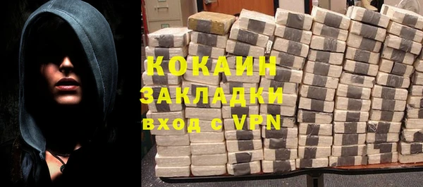 стаф Алексин