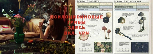 каннабис Алзамай