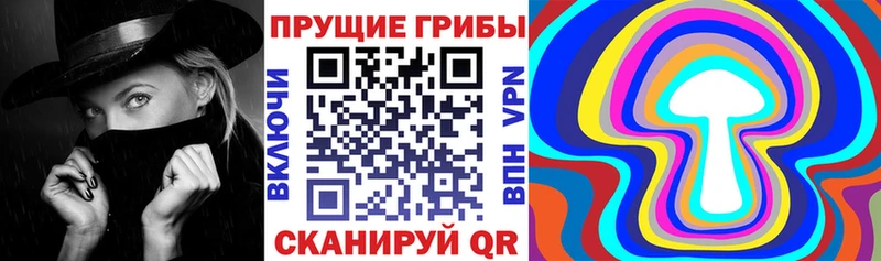 Псилоцибиновые грибы Magic Shrooms  продажа наркотиков  Анжеро-Судженск 